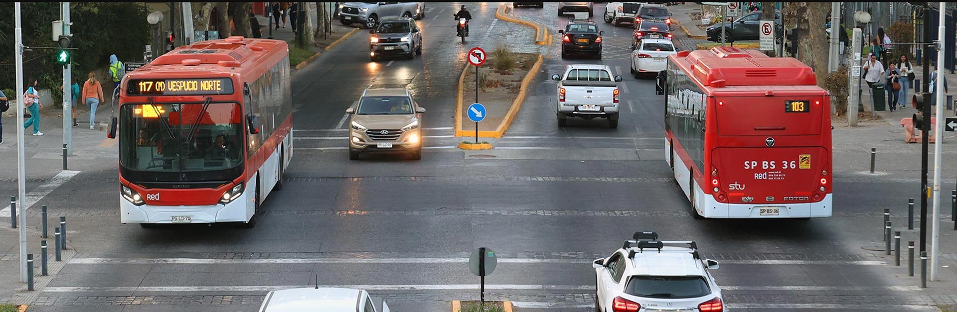 Buses estándar Red Movilidad